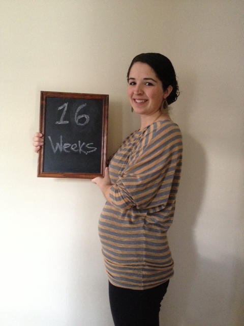 16 weeks, baby is the size of an avocado!