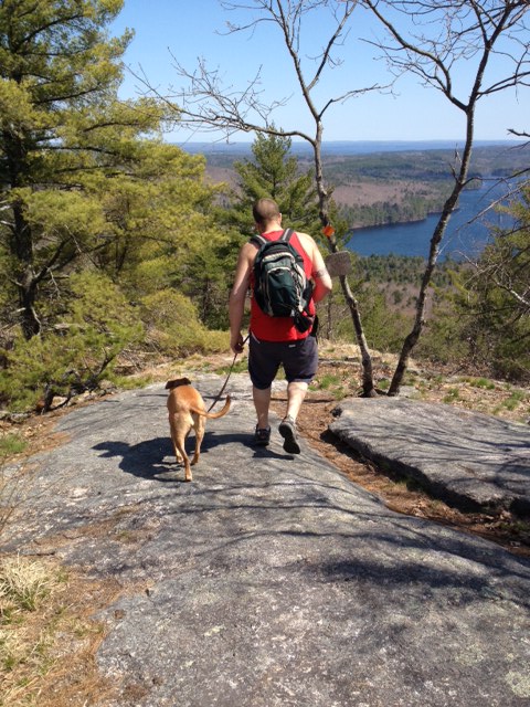 Hiking Bald Pate Mountain