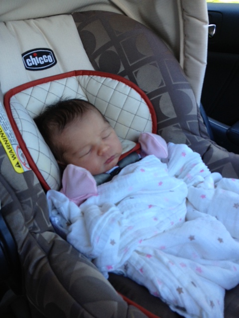 sleepy baby on the car ride home