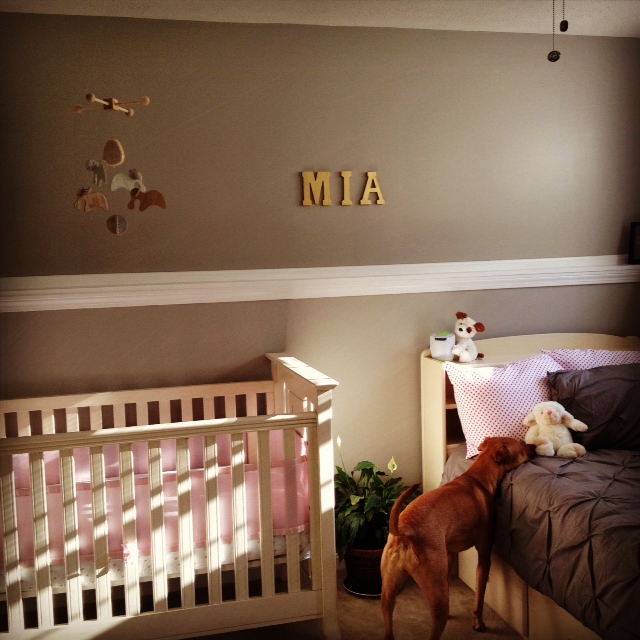 Mia's wall letters