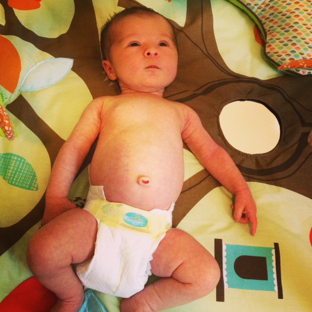 play time in the infant gym