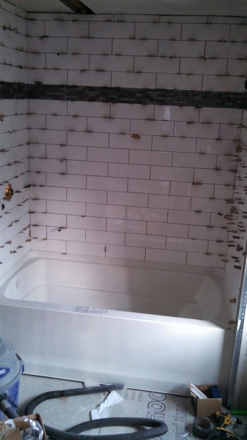 Bathroom Remodel (2 Weeks In)
