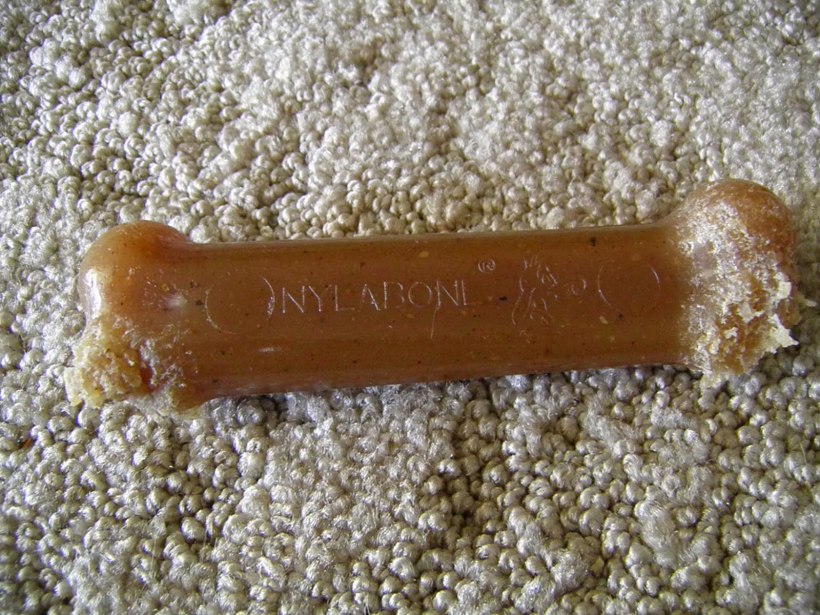 nylabone 003