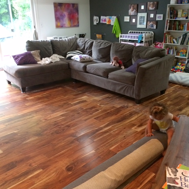 Rugs rolled up for potty training