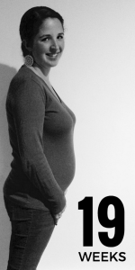 19 weeks pregnant