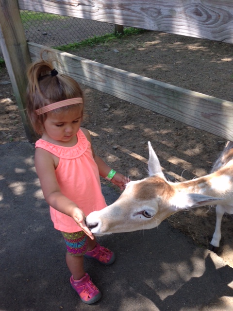 Mia on a field trip to York's Wild Animal Kingdom...at no charge to us, on a day that wasn't her normal daycare day. Melissa didn't want her to miss it, even though she doesn't normally go to daycare on Fridays.